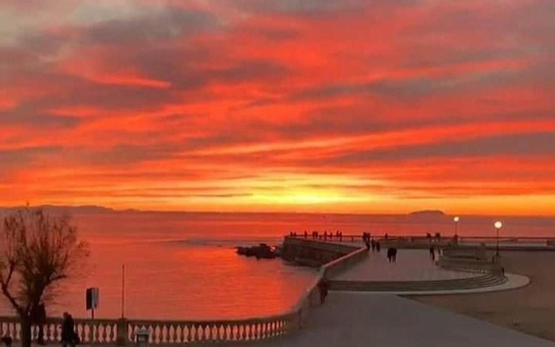 Casa Felicita' Daire Livorno Dış mekan fotoğraf